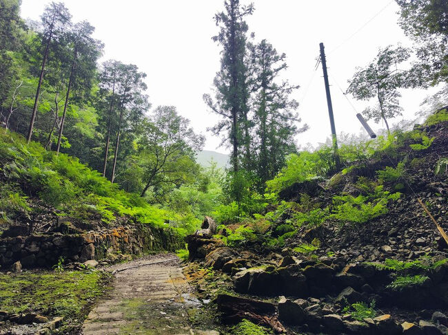 (・_・)・・・？どこ？<br /><br />見つからんな？被災でぶっ壊れたからこの看板隠してるのかな？