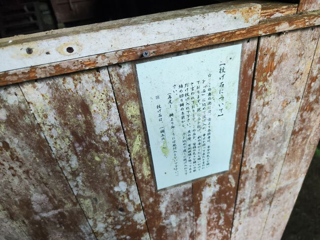 奥のほうかな？