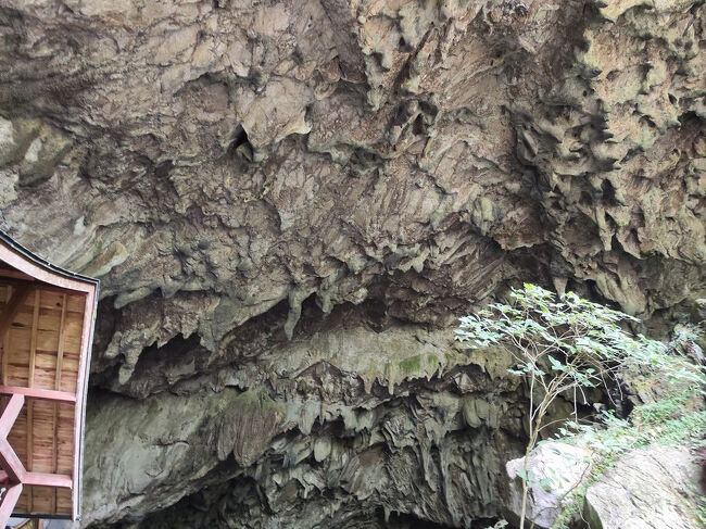 鍾乳洞の上を見ると・・・・
