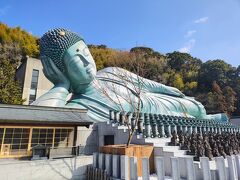 おおーでっかい！
ちなみに私は笑えるほど大きな大仏様＝牛久大仏を見たことがありますが、あれよりは所縁ある感じかなと思いました。
できてから30周年だそうです。