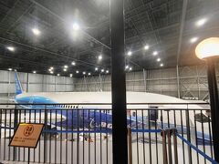 でも、普通に歩けはしましたけどね。
セントレアもうちょっと散策したかったけどなんだかんだ時間がなくて。