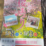 まつだ桜まつり
