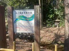 水の苑緑地というエリアに入りました。が、今まで歩いてきた道も町中とはいえ自然がある場所で、いつのまに入っていた？という感じでした。