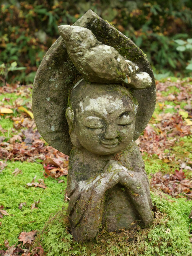 早朝行っても帰りは激混み 京都大原三千院 紅葉の始まり、河原町