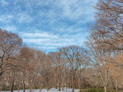 【モヨロ貝塚】


やってきました「モヨロ貝塚（公園）」

「がぁ―――――ん」

やっぱりダメでした
公園は「塚」が複数あるため、
写真のように
穴になっています

安全のために積雪シーズンは入場不可でした(>_<)