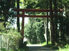 次は「北の一之鳥居」を捜す。
東よりも分かりやすい。

神戸の杜という戸隠神社の黒松の森に立つ。