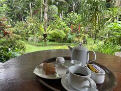 ホテルへ戻って、今日もコーヒーとケーキを頼む。この部屋のテラスで過ごす時間がなんとも癒されるので、外のカフェに行くことはなかった。この日のケーキは、シナモンが効いたキャロットケーキ。滝遊びで疲れた身体にじんわりとしみる。休憩しながら、夜の王宮の舞踊のチケットをGet your guideで予約。