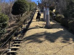 近くの小室山へ行ってみます
リフトは大人往復800円、片道500円。未就園児、ペットは抱っこします
往復の人が多いようですが、途中に遊び場があるそうなので片道です
