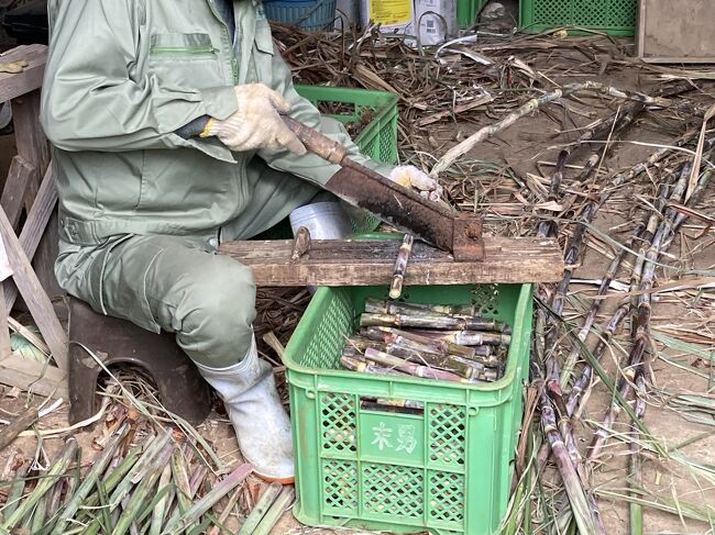 まずは農家の方にご挨拶です。宜しくお願いします。^_^