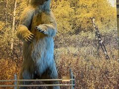 神奈川県立生命の星 地球博物館