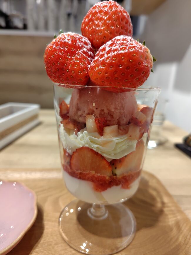 Mogu Food | 日本一大きいいちごパフェ🍓The largest strawberry