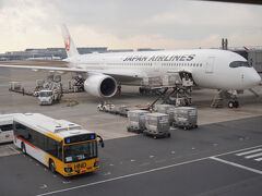 羽田空港(東京国際空港)
