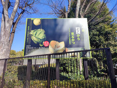 国立西洋美術館は、モネ展が終わって、閉館中。次は、こんなおしゃれな展示みたいですね。これは行かねば。