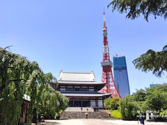 境内に入ると、これまた東京タワーを背後に従えた景観の本堂が現れます。
東京タワーが近くに感じるのもそのはずで、タワーの敷地の一部をはじめ芝公園や東京プリンスホテルがある一帯が、元々は増上寺の境内だったんですね。

江戸時代に徳川家の手厚い保護を受け発展した増上寺は、幕末には境内の広さは約59ヘクタールにおよび、現在でいうとなんと東京ドーム約12個分だったそうだ。そこには3千人もの修行僧がいたんですって。　

しかし、明治時代に入ると神仏分離の政策の影響で、境内の多くは芝公園になりました。さらに昭和20年の空襲で被災し、伽藍の多くが焼失しました。