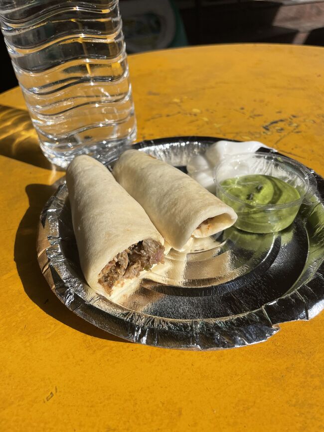 食事は地元のものでなく、ちょっとこじゃれたものにする。これはシャワルマといって、調べるとトルコ発祥の食べ物らしい。ソース？　が爽やかで、インド特有のこってり感がやや控えめなのがいい。