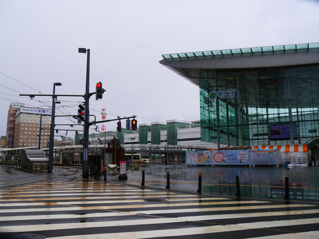 福井駅西口の恐竜広場が見えてきました。