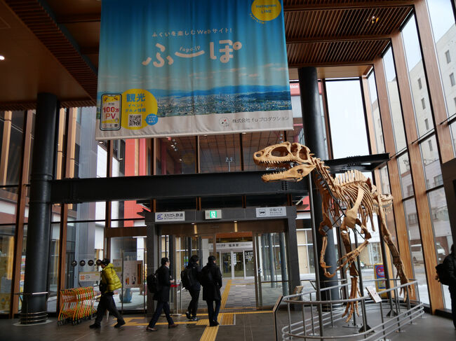 福井駅東口（一乗谷口）です。<br />恐竜「フクイラプトル」の木製骨格標本があります。<br /><br />近くの観光案内所内にあるコインロッカーにキャリーケースを預けます。