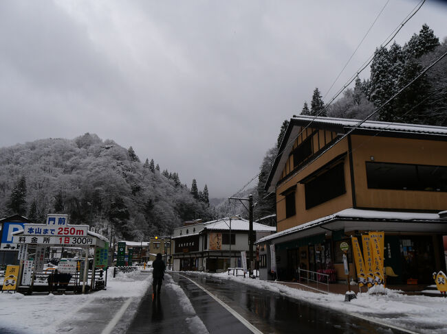 乗車して約30分で永平寺門前バス停に到着。<br /><br />永平寺までは少し歩きます。
