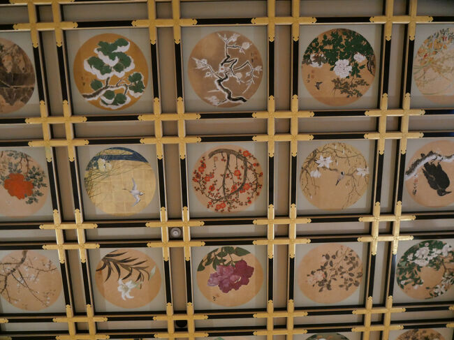 ズームアップ。