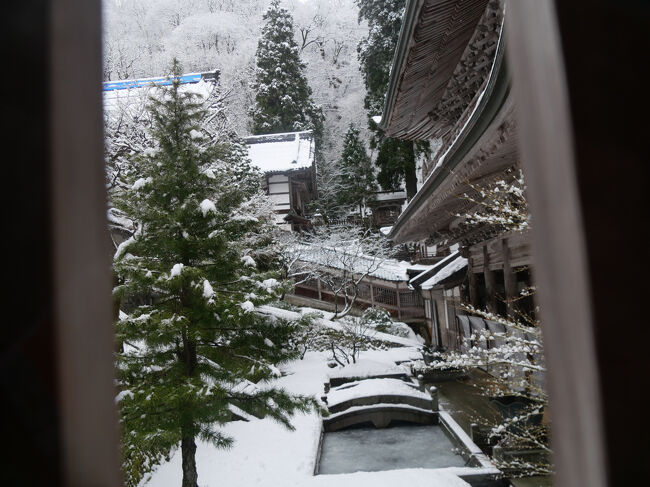 窓からの眺め。<br />山門と中雀門の間の庭です。<br /><br />右側に見えるのが山門です。