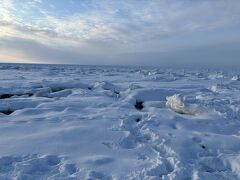 【遠音別川】
知床までやってきました。海が氷で覆われている！！
これが流氷ってやつですね。びっくり！！