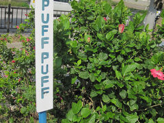 カフェ PUFFPUFFへ。