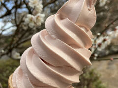 梅ソフトクリーム！
たくさん歩いた後なので甘さが美味しい！