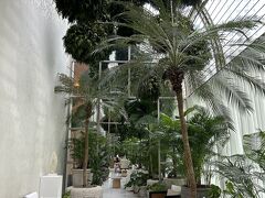 今日はザシンガポールエディションに泊まります。ロビーの雰囲気、緑が多くて素敵。ホテル周辺も緑が多くて良さそうなエリア。