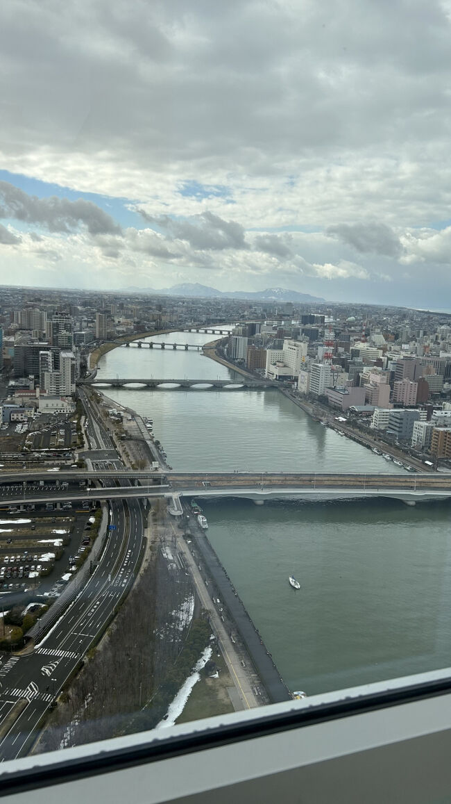 柳都大橋・萬代橋・八千代橋・昭和大橋まで見えますね