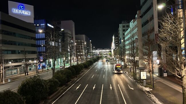 新潟の駅が正面に見える大通り歩道橋から～