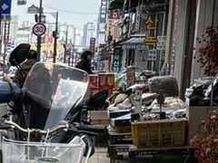 道の両側にたくさんの韓方薬の素材の薬草たちがならんでいます。
韓国最大の韓方医学の総合団地です。