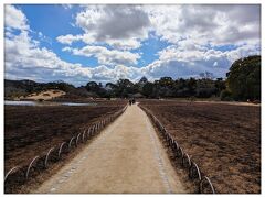 後楽園
遠くに見える岡山城がいい雰囲気(⁠◍⁠•⁠ᴗ⁠•⁠◍⁠)⁠