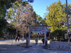 杉桙別命(すぎほこわけのみこと)を祀る来宮神社
河津二回目にして初めての参拝。