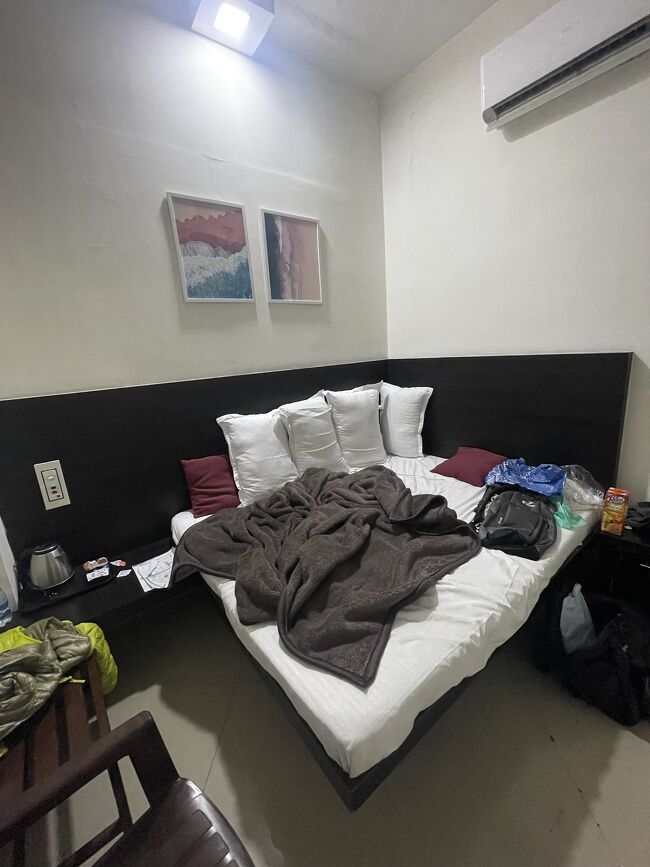 一日寝ているので今日書くことはこれくらいしかない。<br />どんどん症状が悪化しており、確実に熱が38℃以上あるように思える。寝過ぎて、もう眠れないのだが、起きることもできない。地獄のまどろみのなかにいる。こういうとき、いつも『ベルセルク』の地下牢で拷問を受けるグリフィスを思い起こす。グリフィスはこのつらさの1000倍を何日も耐えたのだ。凄すぎる。<br />寂しいので日本にLINE通話して、猫の声を聞かせてもらう。ふだんツンツンしている猫さんが、電話の向こうで聞いたことのないような甘えた声でないている。いきなりいなくなった私がまだ生きていることを知って、向こうも泣きそうなのだろう。