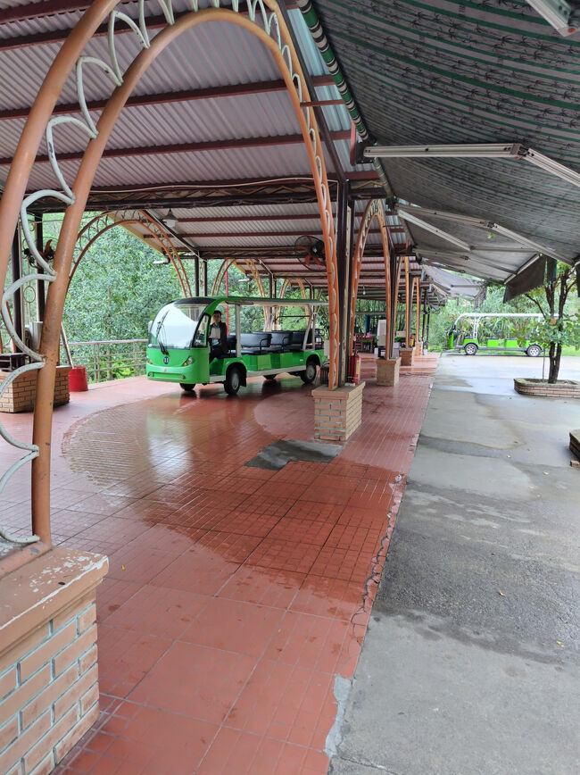 １５人くらい乗れる電動カートで、遺跡の近くまで行きます。カートは最大時速２５キロメートル。吹きさらしなので、走ると風が心地よいです