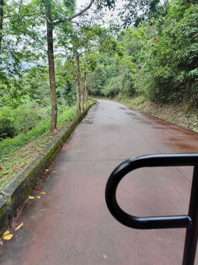 帰りのカートは１番後なので、後ろ向きに乗りました。ここを歩く方もありますが、カートは楽しいです