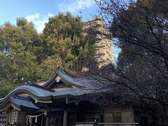 朝飯の後、少し散歩