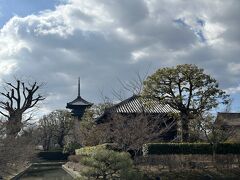八条口から歩いて慶賀門からアプローチ。