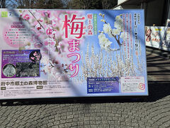 府中本町駅からは徒歩20分くらいです、3月9日まで梅まつりが開催中です
