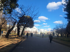 錦糸公園