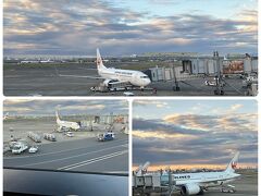 カードラウンジでトマトジュースを1杯いただきました。
ここから飛行機を眺める時間…好きっ╰(*´︶`*)╯♡