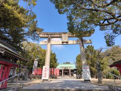 食後は、唐津神社をお参りして・・・