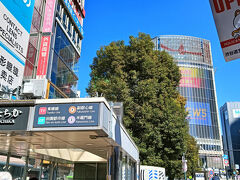 11時まで24時間券の期限があるので、2日目も渋谷へ。