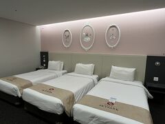 トリプルを頼んでいたら、こんな可愛い部屋に^^;
レジデンスが取れたので、キッチンとカウンターテーブルがあり、部屋飲みやパジャマトーク会に便利でした。
しかし、ビューは中庭向きで、残念。