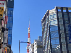 東京タワーも見えます。