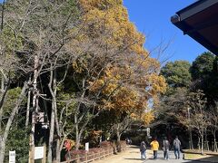 翌日は午前早めにチェックアウトして、書写山ロープウェイにのりました。
朝10:00過ぎでも20人くらいは並んで居ました。
