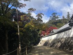 ところどころ紅葉を見ましたが、全山紅葉にはまだ早かったです。