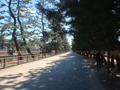 松原遊歩道をのんびりと歩いて