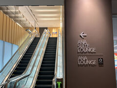 1月に孫の子守りをして孫から風邪をうつされ
熱はないのですがひどい咳と痰に
いつもなら風邪ぐらいでは病院には行かないけれど
中米の旅行のことがあるので病院に行ったらインフルもコロナも陰性
お薬をもらってずいぶんと回復したけれど
全く食欲がなく　中米の旅行大丈夫だろうかと弱気になっている状態で
吹雪の伊丹空港から出発です

伊丹空港のANAのラウンジ
JALのラウンジより良いですね
伊丹空港16:00→羽田空港17:15
