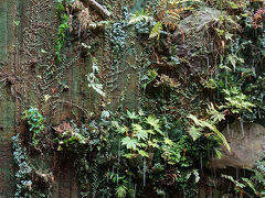 定宿のソラリア。

朝起きたら、雪が降っていました。写真だとわかりにくい。